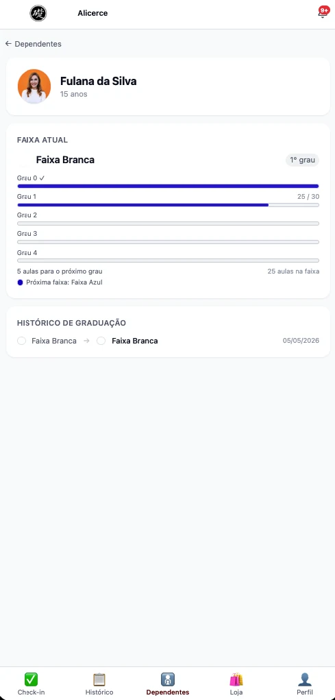 Tela do app com a faixa atual, os graus e as aulas que faltam para o próximo grau